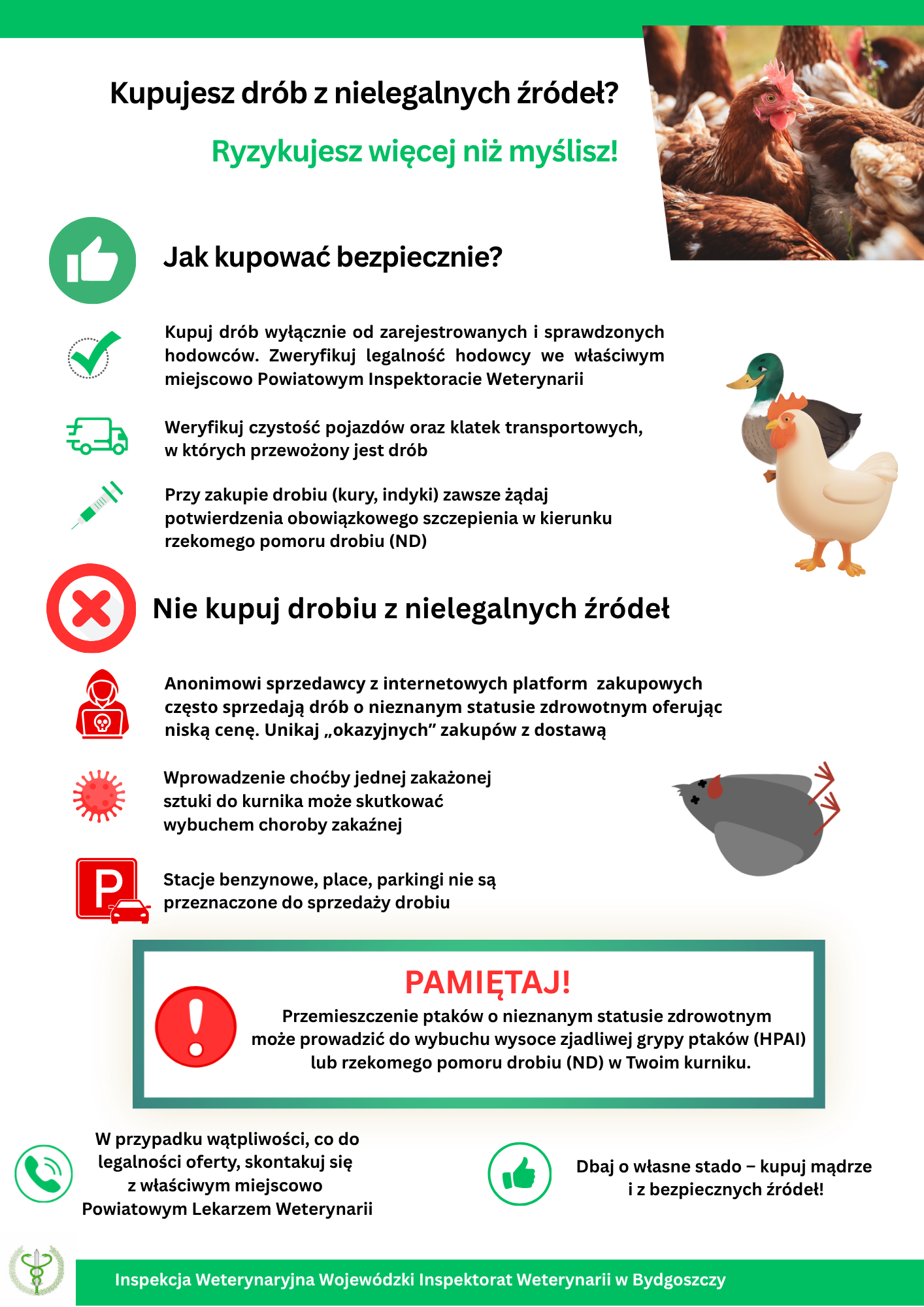 Ulotka informacyjna dot. handlu drobiem
