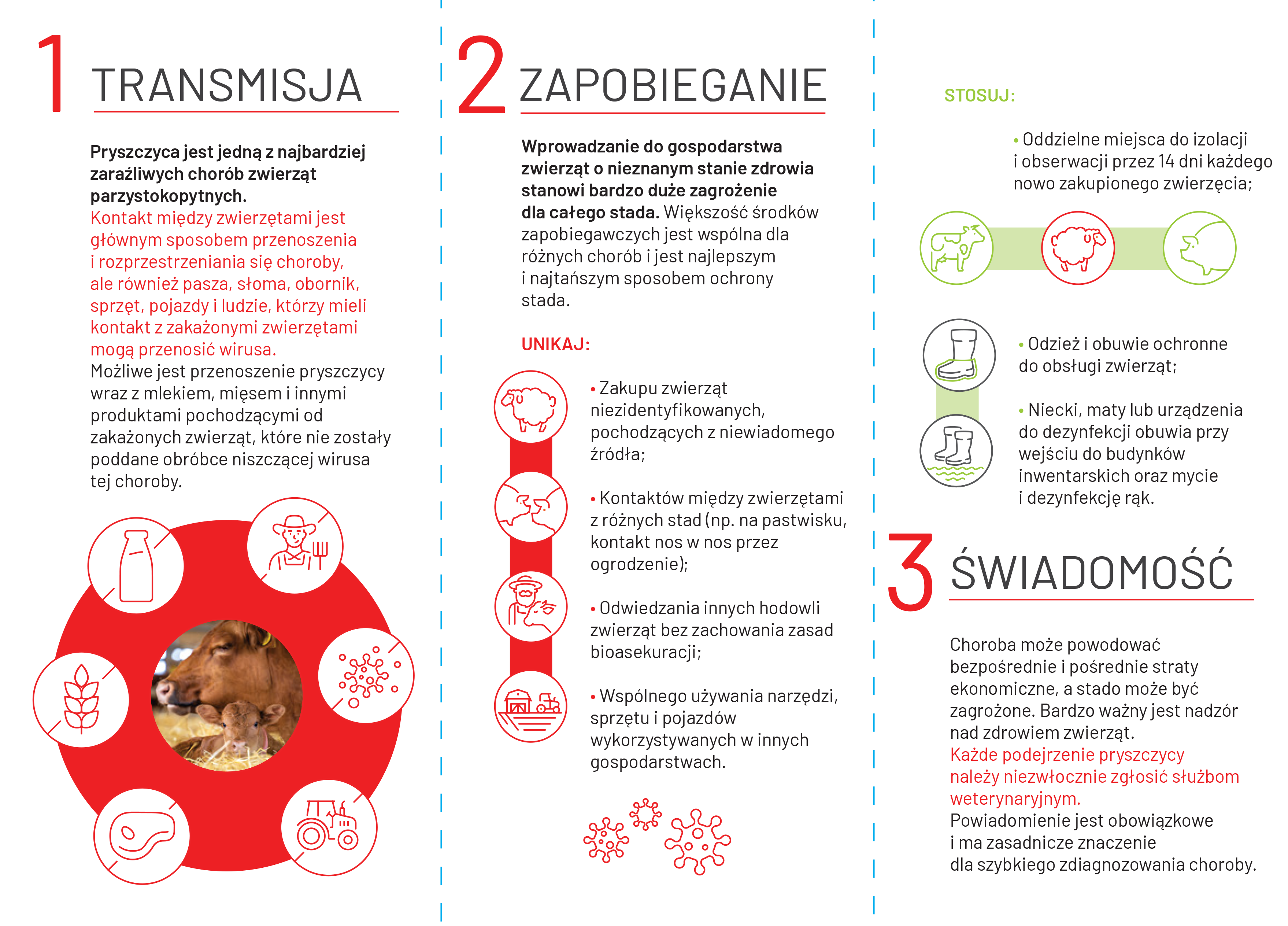 Ulotka pryszczyca 2
