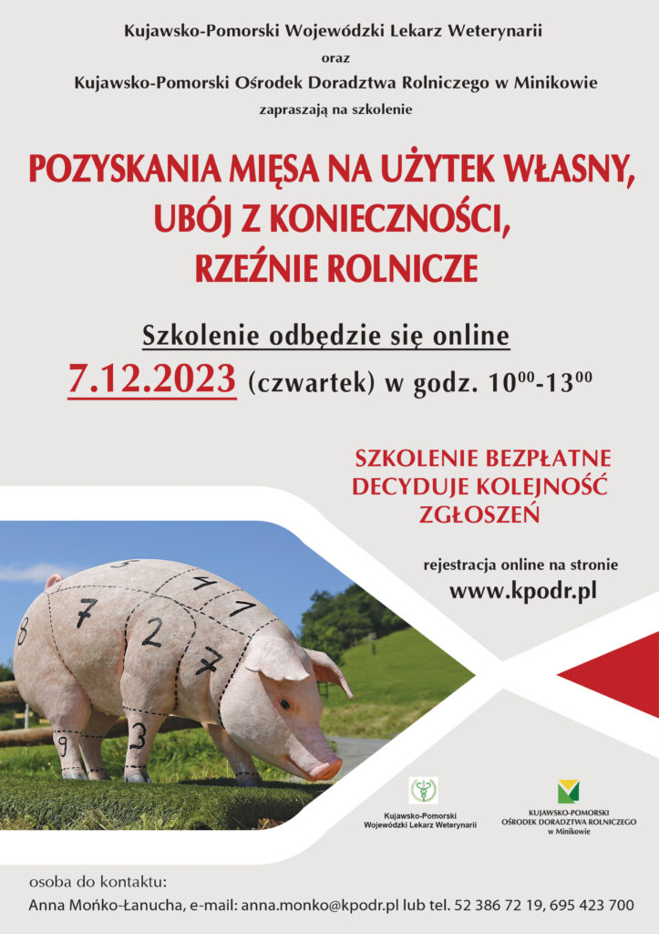 plakat szkolenie 2023 7 12 723x1024